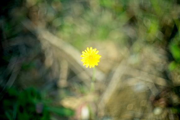 _MG_2821.jpg